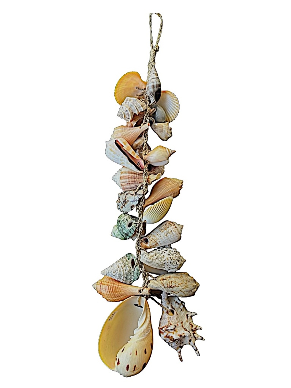 Natural Seashell Garland On Jute Rope 18” Coastal Nautical Decor